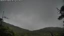 ./images/calvert/fitz-hugh-hecate/20250627/fitz-hugh-hecate20250627_135010M.jpg