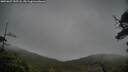 ./images/calvert/fitz-hugh-hecate/20250627/fitz-hugh-hecate20250627_135508M.jpg