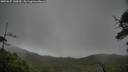 ./images/calvert/fitz-hugh-hecate/20250627/fitz-hugh-hecate20250627_140010M.jpg