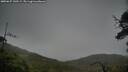 ./images/calvert/fitz-hugh-hecate/20250627/fitz-hugh-hecate20250627_140509M.jpg