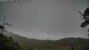 ./images/calvert/fitz-hugh-hecate/20250627/fitz-hugh-hecate20250627_141007M.jpg