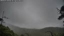 ./images/calvert/fitz-hugh-hecate/20250627/fitz-hugh-hecate20250627_141510M.jpg
