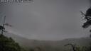 ./images/calvert/fitz-hugh-hecate/20250627/fitz-hugh-hecate20250627_142508M.jpg
