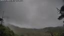 ./images/calvert/fitz-hugh-hecate/20250627/fitz-hugh-hecate20250627_143010M.jpg