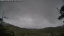 ./images/calvert/fitz-hugh-hecate/20250627/fitz-hugh-hecate20250627_143510M.jpg