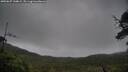 ./images/calvert/fitz-hugh-hecate/20250627/fitz-hugh-hecate20250627_144009M.jpg