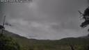 ./images/calvert/fitz-hugh-hecate/20250627/fitz-hugh-hecate20250627_144510M.jpg
