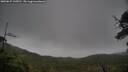 ./images/calvert/fitz-hugh-hecate/20250627/fitz-hugh-hecate20250627_145010M.jpg