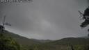./images/calvert/fitz-hugh-hecate/20250627/fitz-hugh-hecate20250627_145509M.jpg