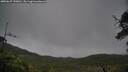 ./images/calvert/fitz-hugh-hecate/20250627/fitz-hugh-hecate20250627_150011M.jpg