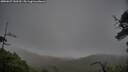 ./images/calvert/fitz-hugh-hecate/20250627/fitz-hugh-hecate20250627_150509M.jpg
