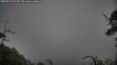 ./images/calvert/fitz-hugh-hecate/20250627/fitz-hugh-hecate20250627_151510M.jpg