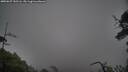 ./images/calvert/fitz-hugh-hecate/20250627/fitz-hugh-hecate20250627_152509M.jpg