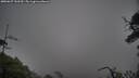 ./images/calvert/fitz-hugh-hecate/20250627/fitz-hugh-hecate20250627_153509M.jpg