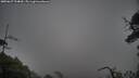 ./images/calvert/fitz-hugh-hecate/20250627/fitz-hugh-hecate20250627_154010M.jpg
