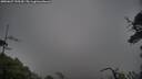 ./images/calvert/fitz-hugh-hecate/20250627/fitz-hugh-hecate20250627_155510M.jpg