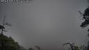./images/calvert/fitz-hugh-hecate/20250627/fitz-hugh-hecate20250627_160508M.jpg