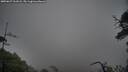./images/calvert/fitz-hugh-hecate/20250627/fitz-hugh-hecate20250627_161008M.jpg
