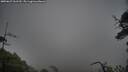 ./images/calvert/fitz-hugh-hecate/20250627/fitz-hugh-hecate20250627_161510M.jpg