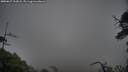 ./images/calvert/fitz-hugh-hecate/20250627/fitz-hugh-hecate20250627_162008M.jpg