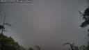 ./images/calvert/fitz-hugh-hecate/20250627/fitz-hugh-hecate20250627_162510M.jpg