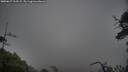 ./images/calvert/fitz-hugh-hecate/20250627/fitz-hugh-hecate20250627_163509M.jpg