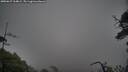 ./images/calvert/fitz-hugh-hecate/20250627/fitz-hugh-hecate20250627_164009M.jpg