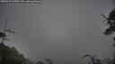 ./images/calvert/fitz-hugh-hecate/20250627/fitz-hugh-hecate20250627_165009M.jpg