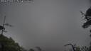 ./images/calvert/fitz-hugh-hecate/20250627/fitz-hugh-hecate20250627_165509M.jpg