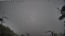 ./images/calvert/fitz-hugh-hecate/20250627/fitz-hugh-hecate20250627_171510M.jpg