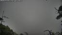 ./images/calvert/fitz-hugh-hecate/20250627/fitz-hugh-hecate20250627_172508M.jpg