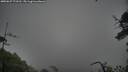 ./images/calvert/fitz-hugh-hecate/20250627/fitz-hugh-hecate20250627_173510M.jpg