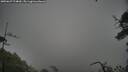 ./images/calvert/fitz-hugh-hecate/20250627/fitz-hugh-hecate20250627_174010M.jpg