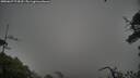./images/calvert/fitz-hugh-hecate/20250627/fitz-hugh-hecate20250627_174510M.jpg