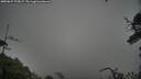 ./images/calvert/fitz-hugh-hecate/20250627/fitz-hugh-hecate20250627_175007M.jpg