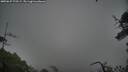 ./images/calvert/fitz-hugh-hecate/20250627/fitz-hugh-hecate20250627_175509M.jpg