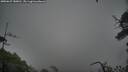 ./images/calvert/fitz-hugh-hecate/20250627/fitz-hugh-hecate20250627_180010M.jpg