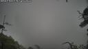 ./images/calvert/fitz-hugh-hecate/20250627/fitz-hugh-hecate20250627_181009M.jpg