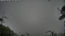 ./images/calvert/fitz-hugh-hecate/20250627/fitz-hugh-hecate20250627_181510M.jpg