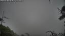 ./images/calvert/fitz-hugh-hecate/20250627/fitz-hugh-hecate20250627_182510M.jpg