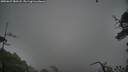 ./images/calvert/fitz-hugh-hecate/20250627/fitz-hugh-hecate20250627_183507M.jpg
