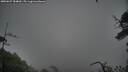 ./images/calvert/fitz-hugh-hecate/20250627/fitz-hugh-hecate20250627_184010M.jpg