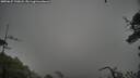 ./images/calvert/fitz-hugh-hecate/20250627/fitz-hugh-hecate20250627_190008M.jpg