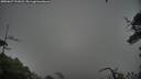 ./images/calvert/fitz-hugh-hecate/20250627/fitz-hugh-hecate20250627_191008M.jpg