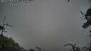 ./images/calvert/fitz-hugh-hecate/20250627/fitz-hugh-hecate20250627_193008M.jpg