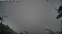 ./images/calvert/fitz-hugh-hecate/20250627/fitz-hugh-hecate20250627_193509M.jpg