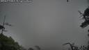 ./images/calvert/fitz-hugh-hecate/20250627/fitz-hugh-hecate20250627_194008M.jpg