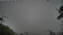 ./images/calvert/fitz-hugh-hecate/20250627/fitz-hugh-hecate20250627_194508M.jpg