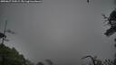 ./images/calvert/fitz-hugh-hecate/20250627/fitz-hugh-hecate20250627_195009M.jpg