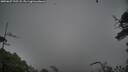 ./images/calvert/fitz-hugh-hecate/20250627/fitz-hugh-hecate20250627_195508M.jpg